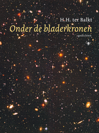 Onder de bladerkronen